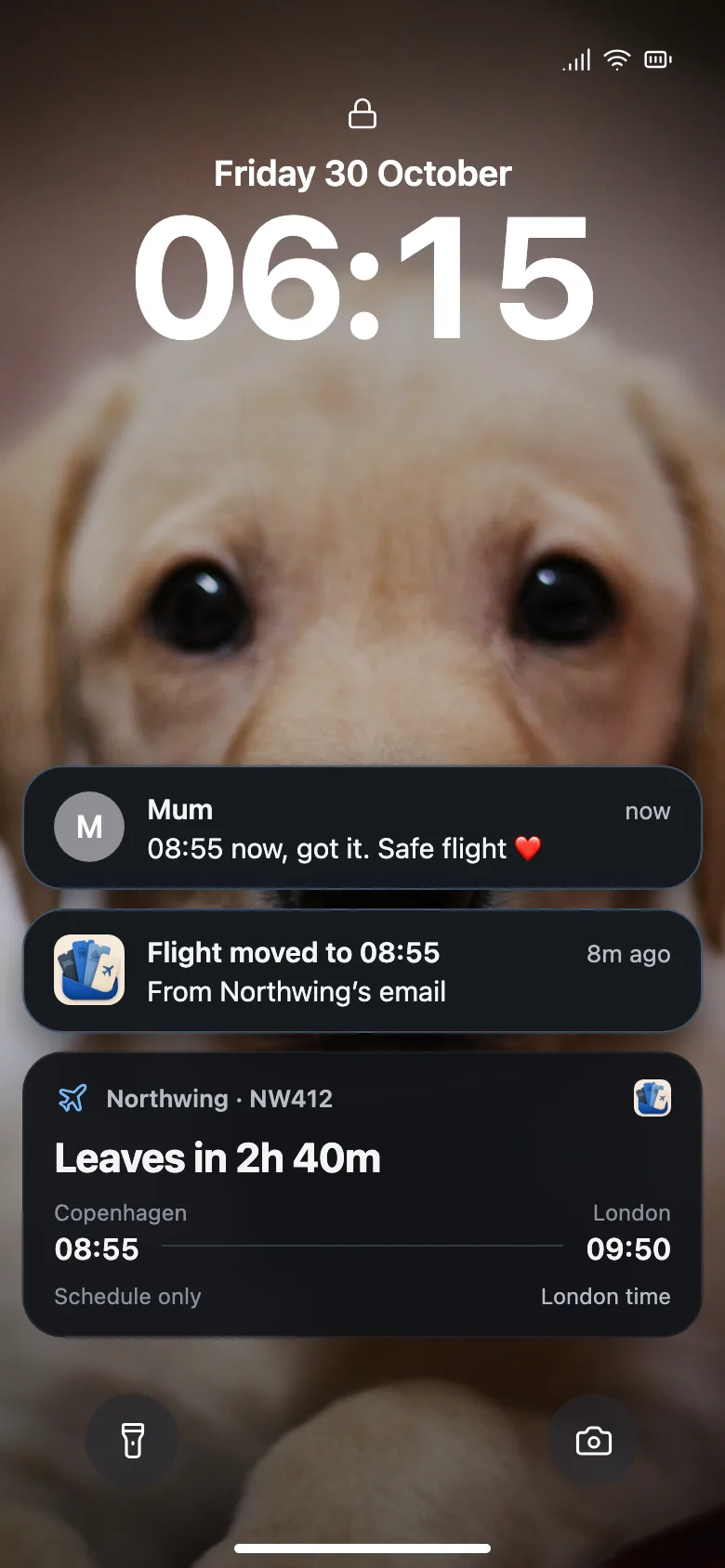 Example lock screen with a puppy wallpaper on Friday 30 October at 06:15, newest first: Mum texts 08:55 now, got it, safe flight; Flight moved to 08:55, from Northwing&rsquo;s email; the flight&rsquo;s Live Activity, leaves in 2h 40m